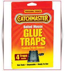 http://www.accpestcontrol.com/images/glue_trap1.jpg